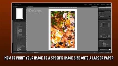 How to Print a Picture to a Specific Size: Tips and Strategies